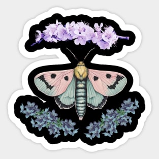 Pastel Moth Sticker